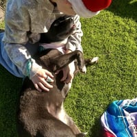 Stormie - Photo 3