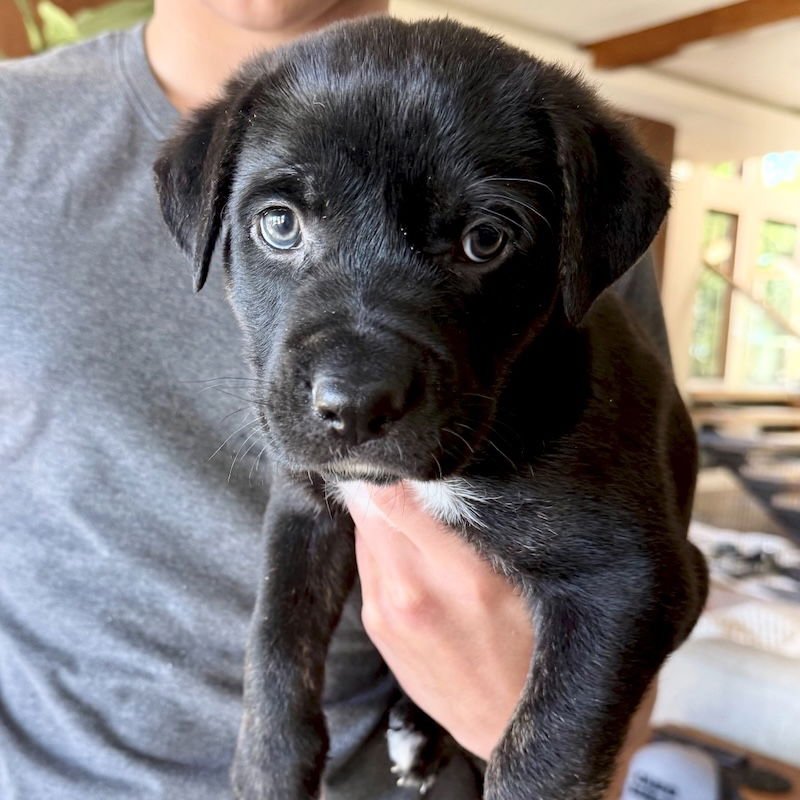 Charlie Brown - Photo 4