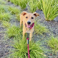 Trixie - Photo 5