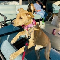 Trixie - Photo 2