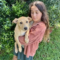 Trixie - Photo 8