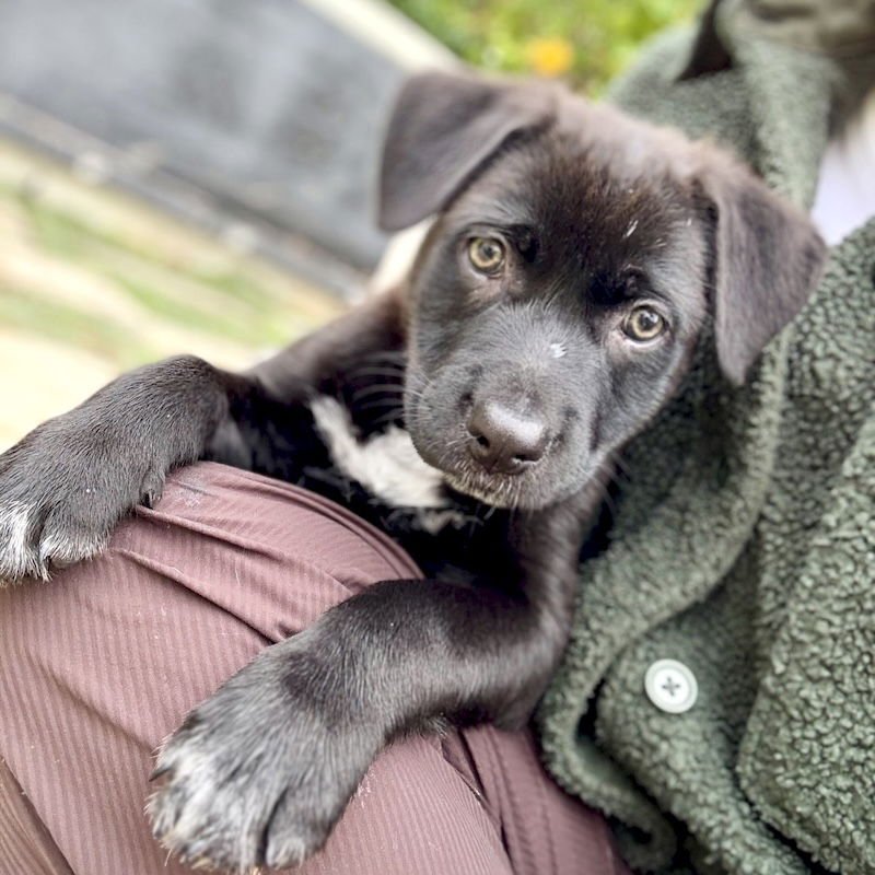 Peppermint Patty - Photo 3