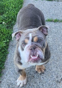 Maybel - Photo 1