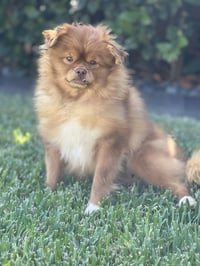 Sandie - Photo 2