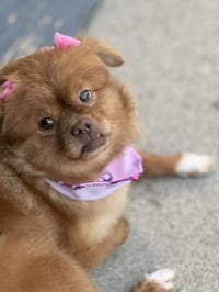 Sandie - Photo 3