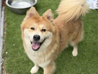 HONEY - Photo 1