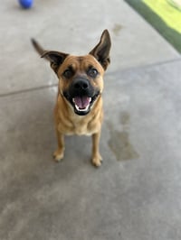 RANGER - Photo 1