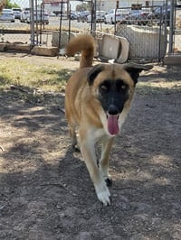 LENNOX - Photo 1