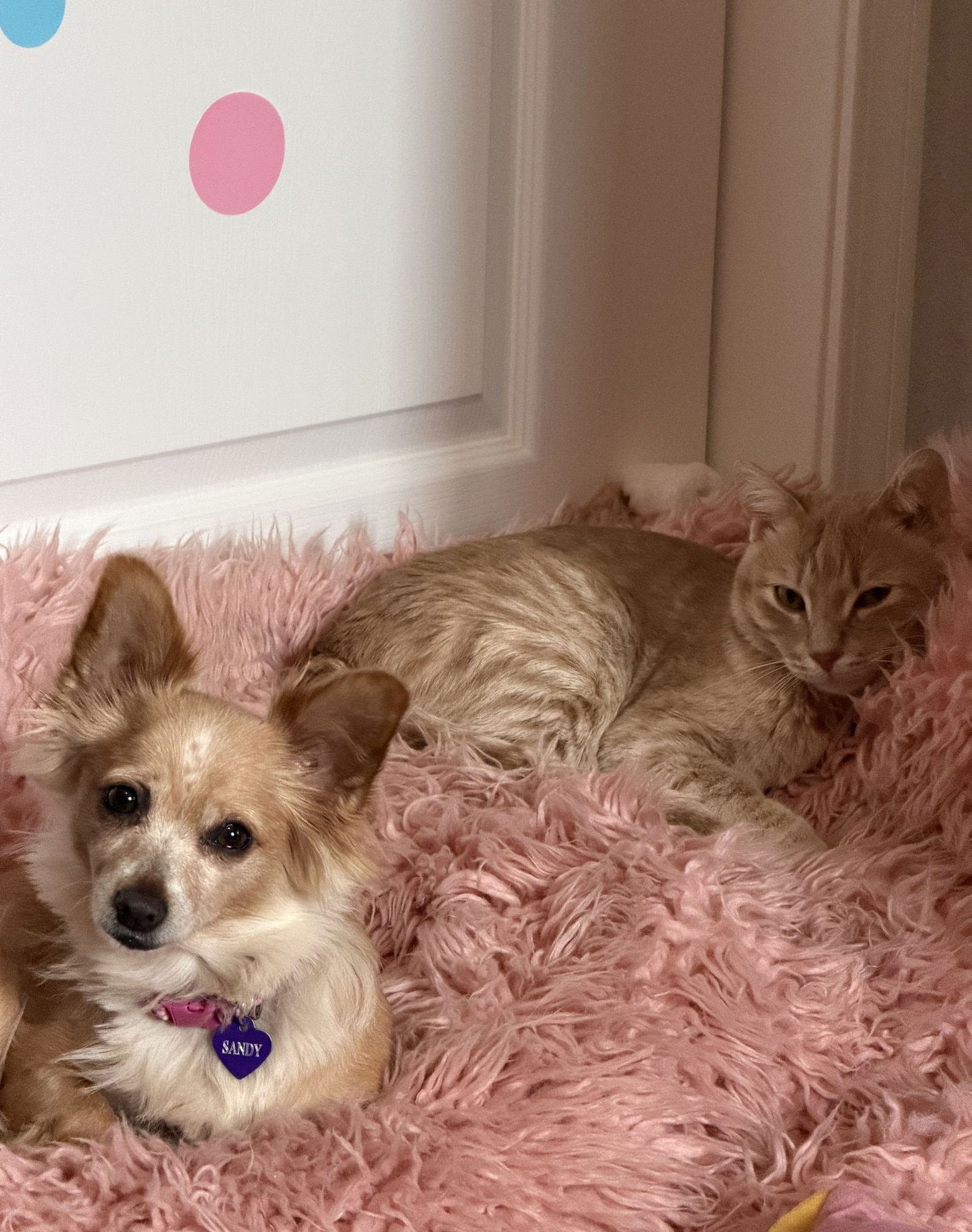 Naomi McGee - Photo 3