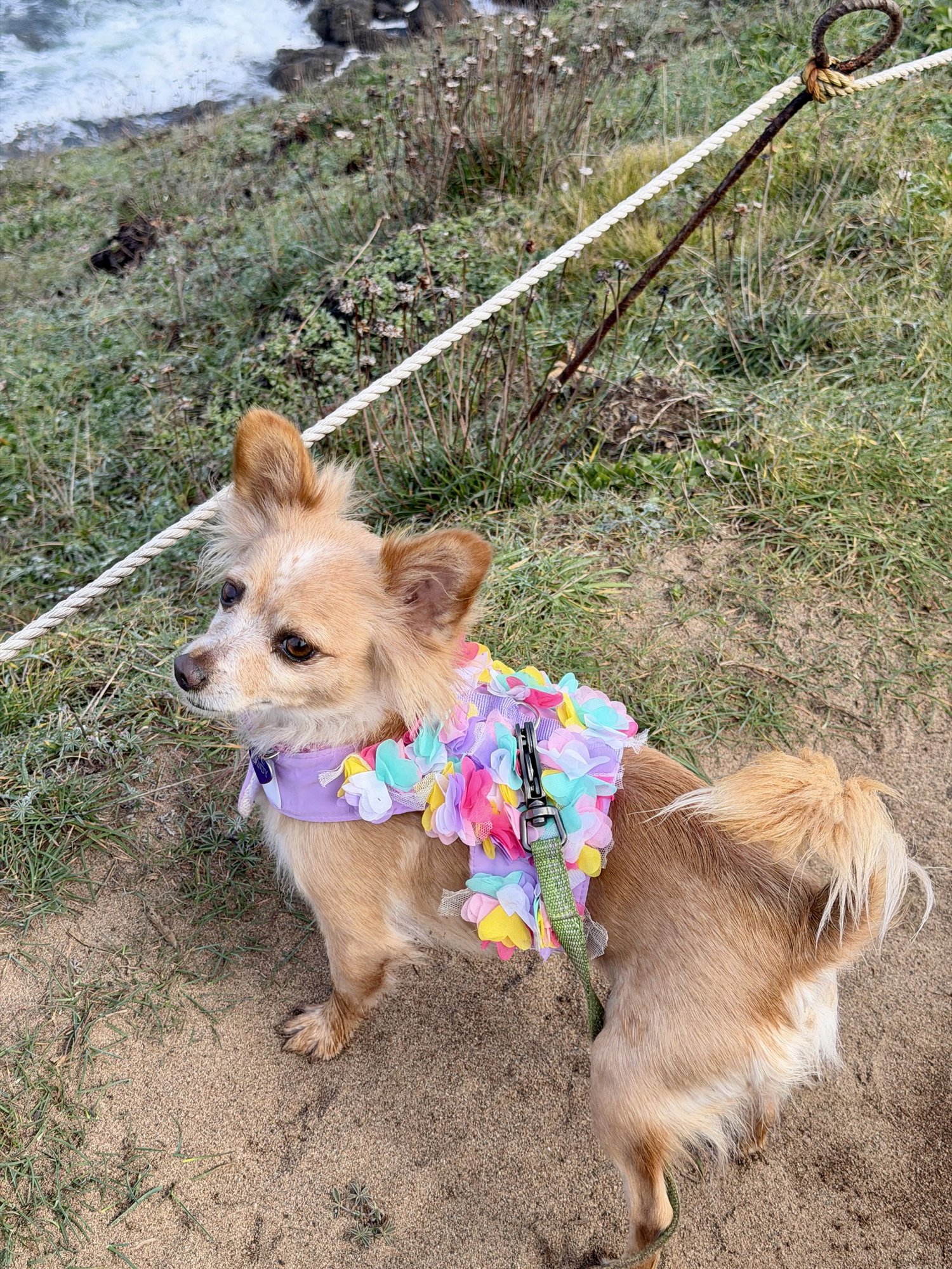 Naomi McGee - Photo 4