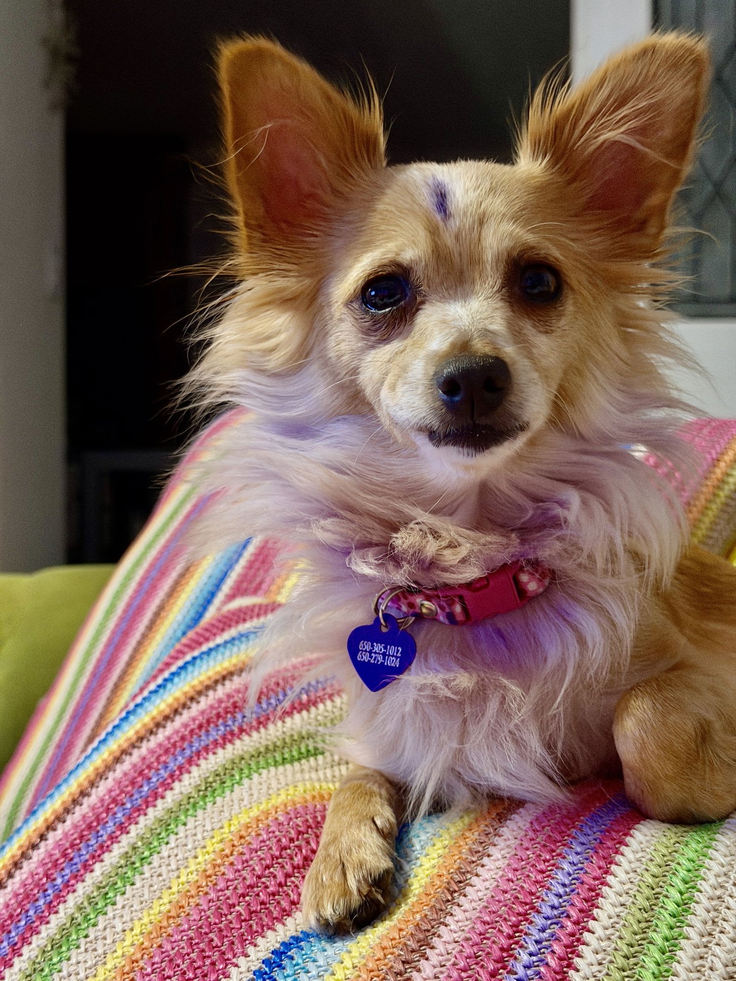 Naomi McGee - Photo 5