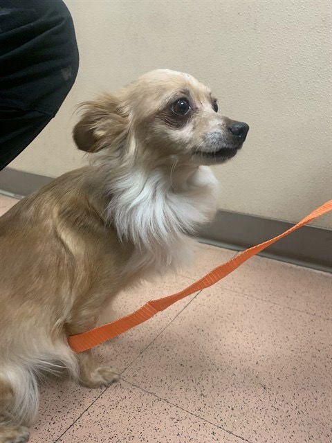 Naomi McGee - Photo 6