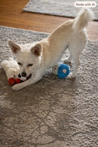 Poppy - Photo 5