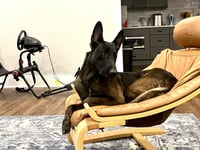 Echo - GA - Photo 3