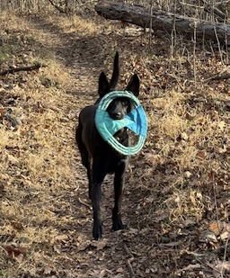 Radar, VA. ‼️COURTESY POST‼️ - Photo 3