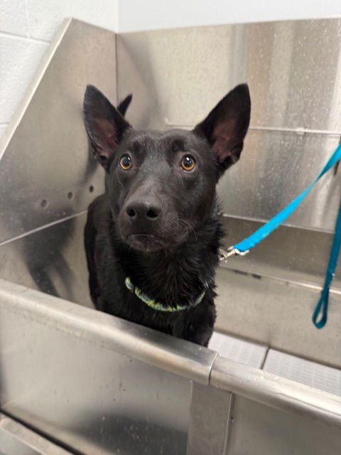 Radar, VA. ‼️COURTESY POST‼️ - Photo 4