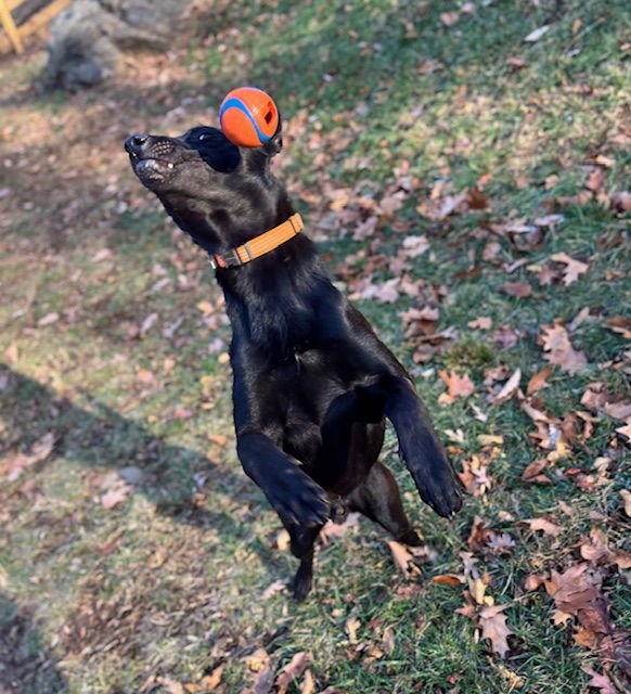 Radar, VA. ‼️COURTESY POST‼️ - Photo 6