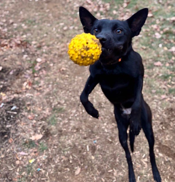 Radar, VA. ‼️COURTESY POST‼️ - Photo 7