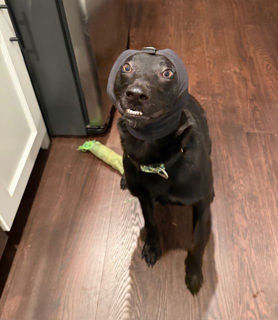 Radar, VA. ‼️COURTESY POST‼️ - Photo 8