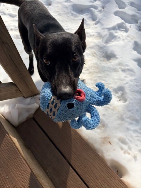 Radar, VA. ‼️COURTESY POST‼️ - Photo 9