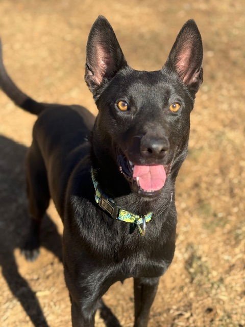 Radar, VA. ‼️COURTESY POST‼️ - Photo 10