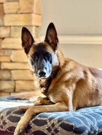 Fred - NH - Photo 1