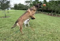Cody - FL - Photo 8