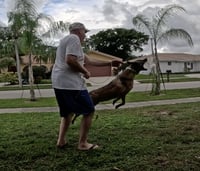 Cody - FL - Photo 5