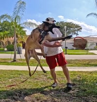 Cody - FL - Photo 4