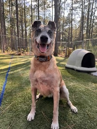 REMY-FL - COURTESY POST - Photo 4