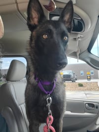 Nora - Kansas - Photo 1