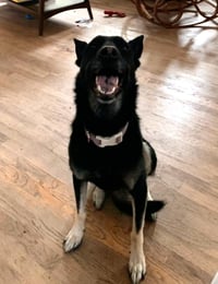 Ruthie - IL - COURTESY POST - Photo 4