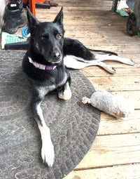Ruthie - IL - COURTESY POST - Photo 1