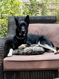 Ruthie - IL - COURTESY POST - Photo 2