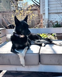 Ruthie - IL - COURTESY POST - Photo 3