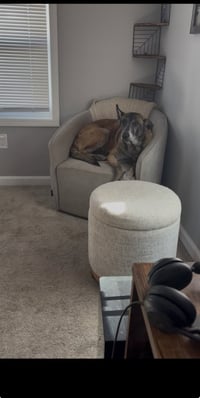 Millie - NJ - Photo 18