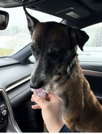 Millie - NJ - Photo 14
