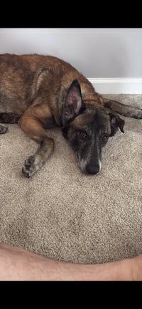 Millie - NJ - Photo 5