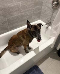 Millie - NJ - Photo 6