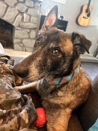 Millie - NJ - Photo 20