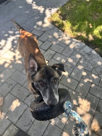 Millie - NJ - Photo 21