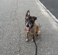 Millie - NJ - Photo 9