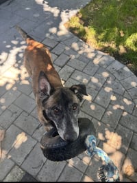 Millie - NJ - Photo 8