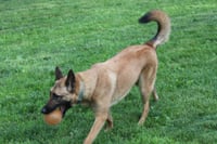 Peighton - PA - Photo 4