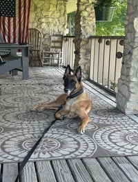 Nina-IN - Photo 1