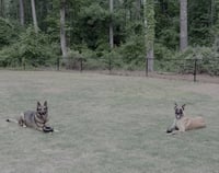 Gray- NC - Photo 3