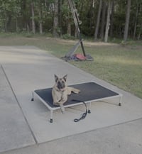 Gray- NC - Photo 4