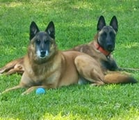 Luci - GA - Photo 3