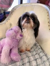 Mia in TX - Photo 3