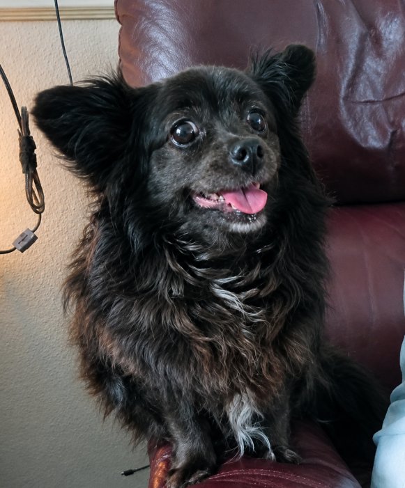 Pickles in TX Image